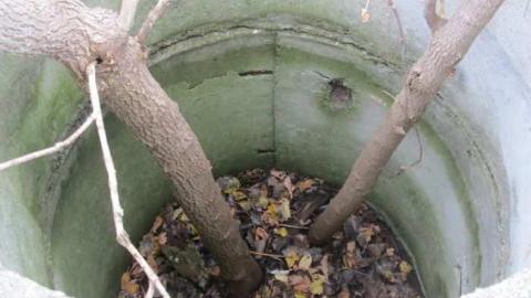 Still Some Life Left - Land-Diver39.jpg