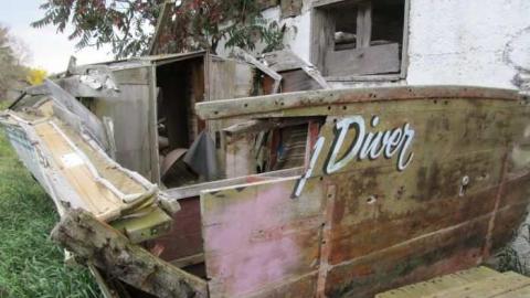 Still Some Life Left - Land-Diver9.jpg