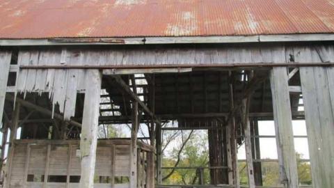 Still Some Life Left - Land-Diver18.jpg