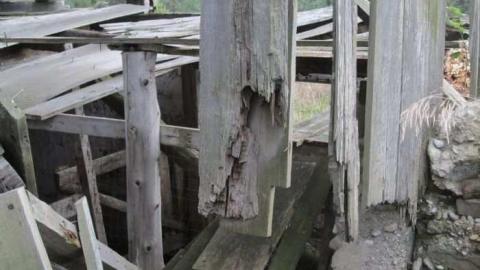 Still Some Life Left - Land-Diver19.jpg