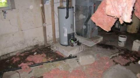 Grassy Brook - 019.jpg