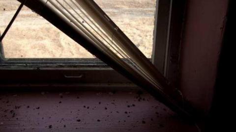 Gallery - IMG_8591.jpg