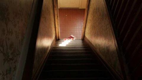 Gallery - IMG_8601.jpg