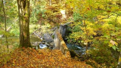 Hoggs sawmill at Hoggs Falls photo 5