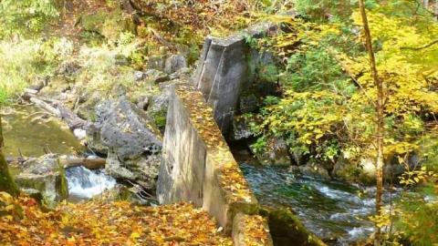 Hoggs sawmill at Hoggs Falls photo 3