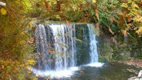 Hoggs sawmill at Hoggs Falls photo 4