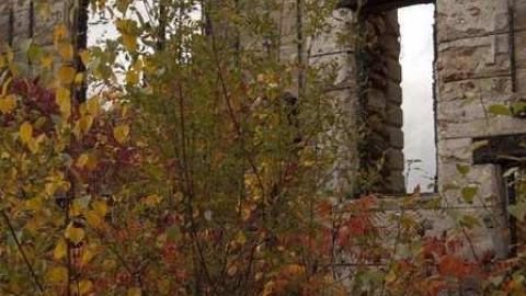 Photo from Wrigley Farm  - Autumn Colours