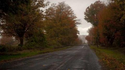 Photo from Wrigley Farm  - Autumn Colours