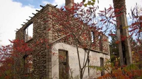 Photo from Wrigley Farm  - Autumn Colours