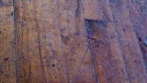 Occupied? - IMG_4721.jpg