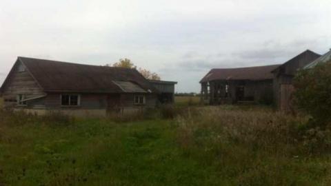 Farm Lands on Innis Lake Rd. photo 5