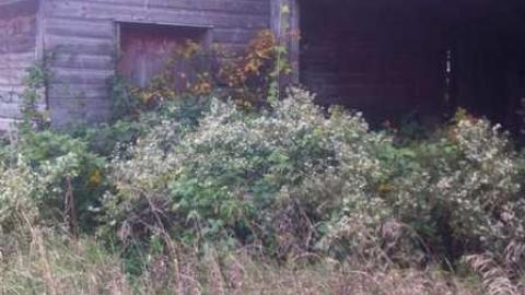 Farm Lands on Innis Lake Rd. photo 2