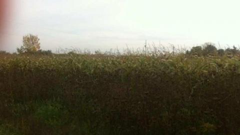 Don't Come In - IMG_4776.jpg