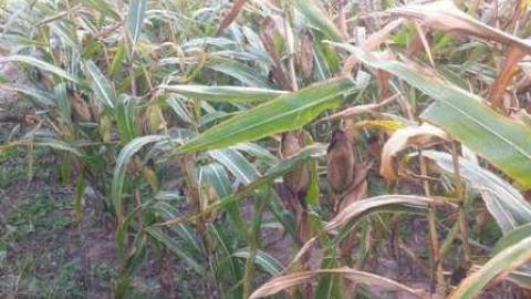 Don't Come In - IMG_4777.jpg