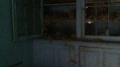 Segregated - IMG_4632.jpg