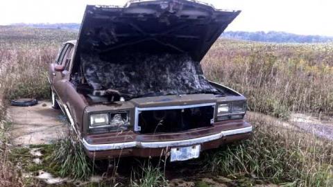 Very Pleasant  - IMG_4647.jpg