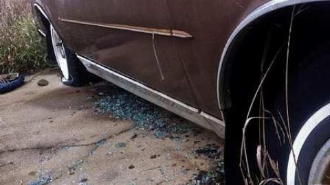 Very Pleasant  - IMG_4649.jpg