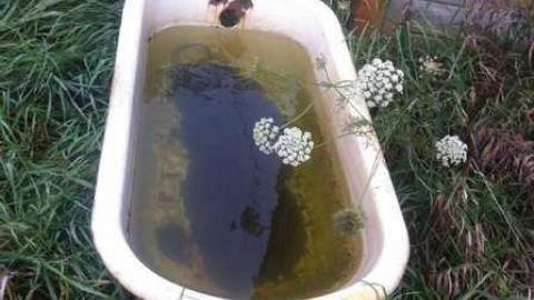 Very Pleasant  - IMG_4654.jpg