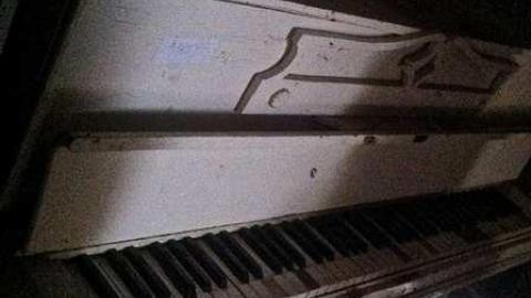 Very Pleasant  - IMG_4657.jpg