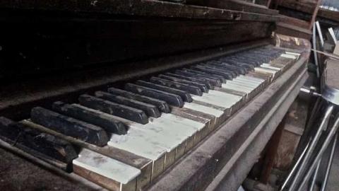 Very Pleasant  - IMG_4661.jpg