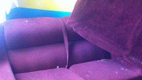 Very Pleasant  - IMG_4669.jpg