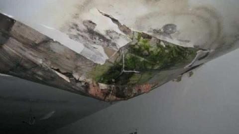 Dont drop the soap - Rideau-Correctional--Treatment8.jpg