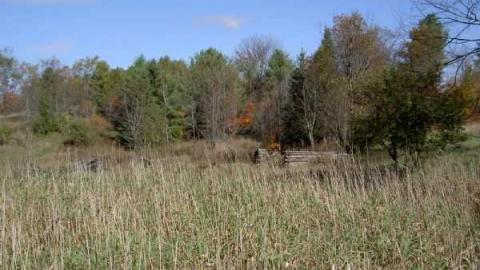 Fall 2012 - Glanmire-(ghost-town)-Gallery24.jpg