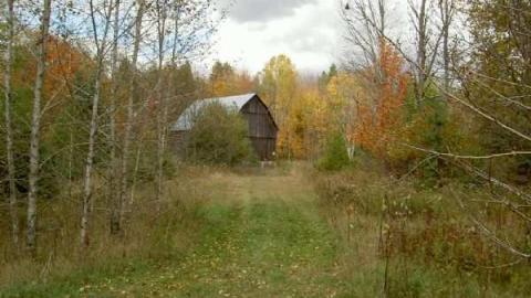 Fall 2012 - Glanmire-(ghost-town)-Gallery30.jpg