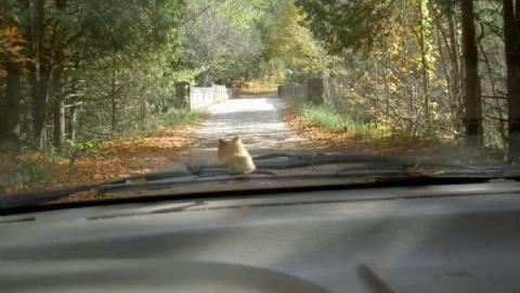 Fall 2012 - Glanmire-(ghost-town)-Gallery32.jpg