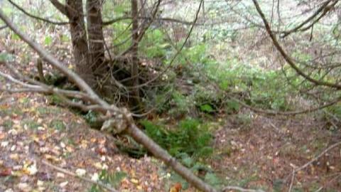 Photo from Fall 2012