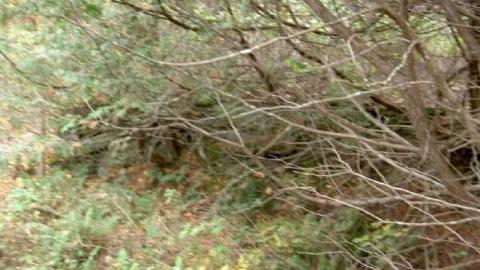 Fall 2012 - Glanmire-(ghost-town)-Gallery34.jpg