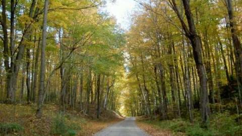 2012 Fall Drive - Old-Hastings-Colonization-Rd.14.jpg