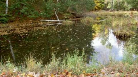 Photo from 2012 Fall Drive