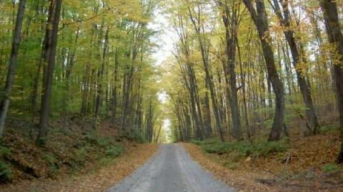 2012 Fall Drive - Old-Hastings-Colonization-Rd.18.jpg