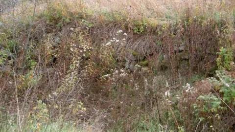 2012 Fall Drive - Old-Hastings-Colonization-Rd.20.jpg