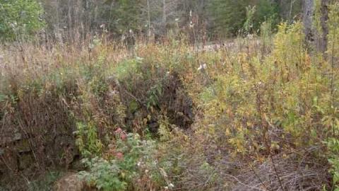2012 Fall Drive - Old-Hastings-Colonization-Rd.21.jpg
