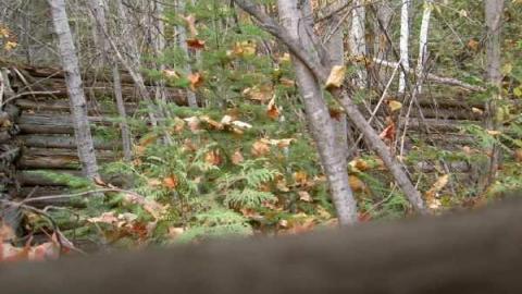 2012 Fall Drive - Old-Hastings-Colonization-Rd.23.jpg