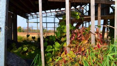 A Road Less Travelled - A-Road-Less-Travelled3.jpg