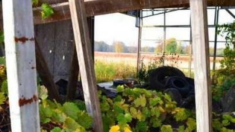 A Road Less Travelled - A-Road-Less-Travelled6.jpg