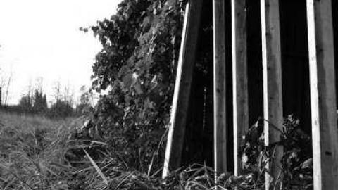 A Road Less Travelled - A-Road-Less-Travelled1.jpg