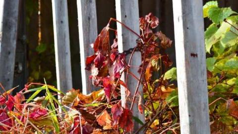 A Road Less Travelled - A-Road-Less-Travelled5.jpg