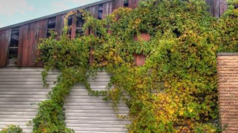 The Savannah - Welcome-to-the-Savannah30.jpg