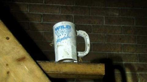 The Savannah - Welcome-to-the-Savannah22.jpg