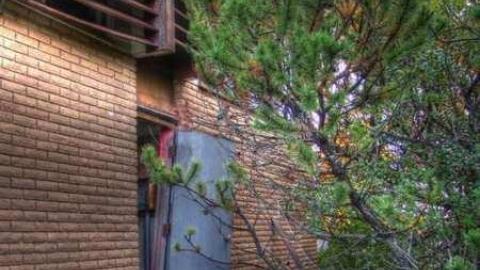 The Savannah - Welcome-to-the-Savannah26.jpg