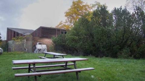 The Savannah - Welcome-to-the-Savannah28.jpg