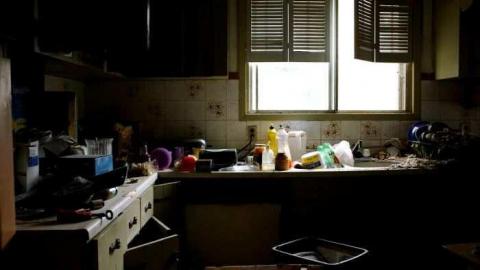 Early October 2012 - Madison-Ave.-cat-house38.jpg