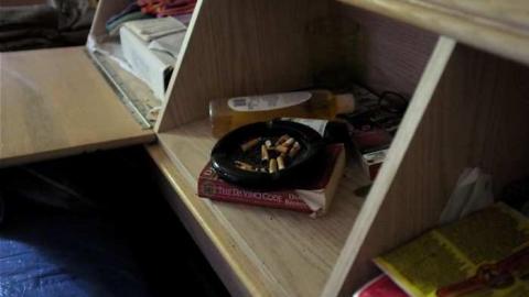 Early October 2012 - Madison-Ave.-cat-house37.jpg