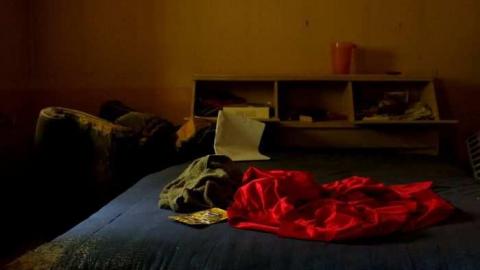 Early October 2012 - Madison-Ave.-cat-house40.jpg