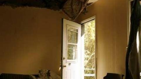 Early October 2012 - Elvis-on-Lowther9.jpg