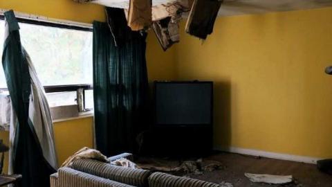 Early October 2012 - Elvis-on-Lowther13.jpg